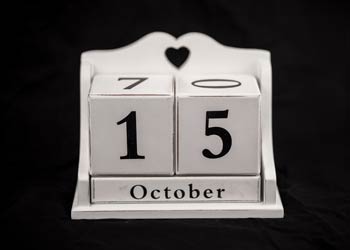 SSCI Early Career Council - Request for Applications