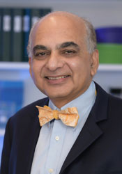 Vivian A. Fonseca, MD